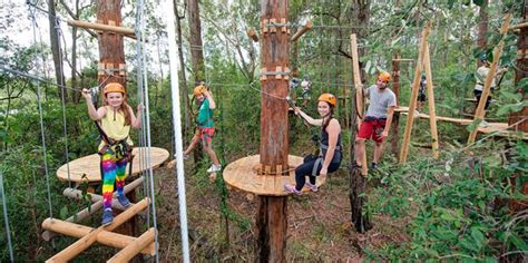 treetops gosford|Tree Ropes Course